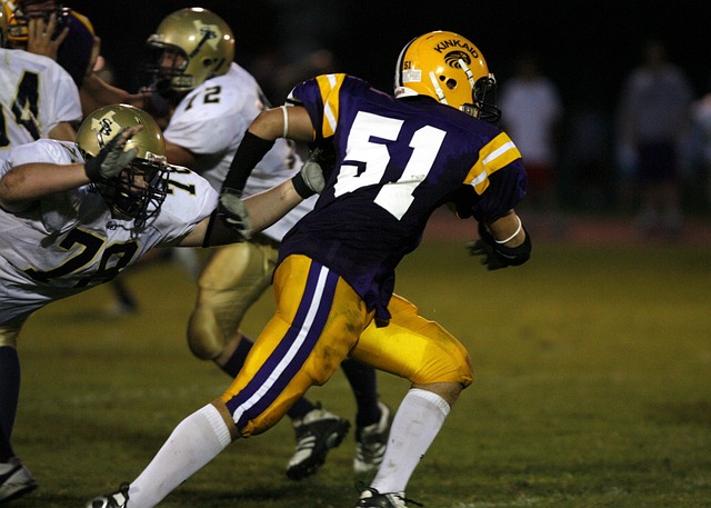 年古巴导弹 年古巴导弹