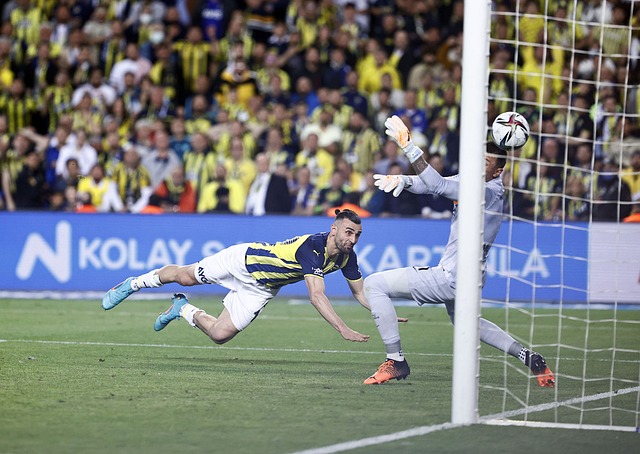 兼顾了团队 兼顾了团队