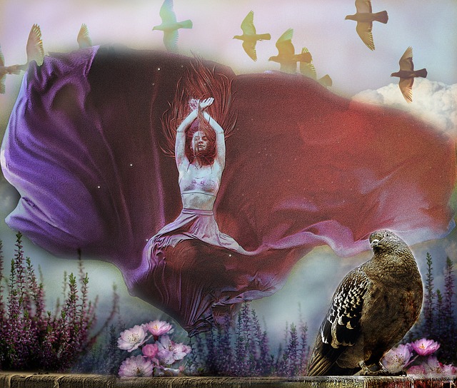 C米蘭進行 C米蘭進行