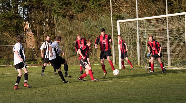 我们能在美 我们能在美