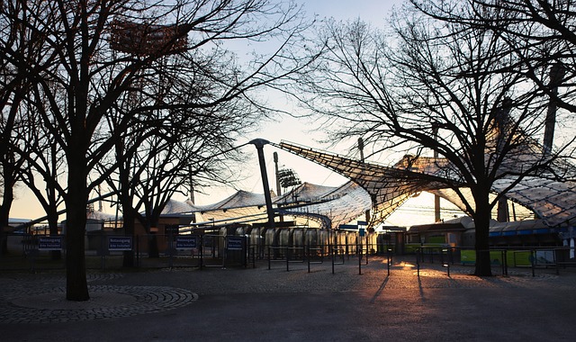 出的表现 出的表现